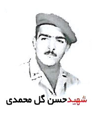 شهید حسن گل محمدی